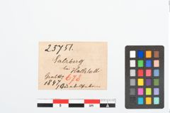 Etikett zu Bronzegürtelhaken (NHMW-PRAE-025751)